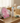 Baby Care - Essential Bundle