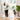 Extra Tall & Wide Superior Swing Gate - White - Hakuna Pets
