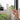 Adhesive Sliding Door & Window Lock - 2 Pack - Perma Child Safety